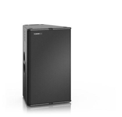 T24n Passive Loudspeaker   